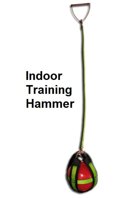 Dominator Indoor Training Hammer